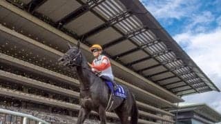 【毎日王冠注目馬】復活の春から実りの秋へ　一昨年覇者が3歳馬を迎え撃つ