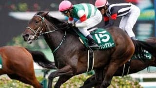 【JRA】19年紫苑S覇者パッシングスルーが登録抹消、繁殖馬に