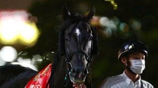 【地方競馬】大井・東京盃の売得金は9億1988万9600円で対前年比115%超