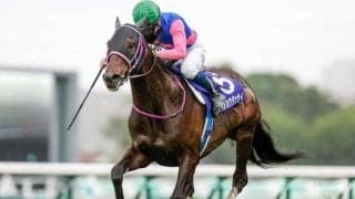 【JRA】JGI連勝中のメイショウダッサイが年内休養　左前の繋靱帯炎で