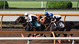 【JRA新馬戦】5.6億円ホース・ショウナンアデイブ、レイパパレの半妹レイフルなどがデビュー