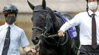 【毎日王冠出走馬・騎手確定】シュネルマイスター＆ルメール騎手、ダノンキングリー＆川田将雅騎手など13頭