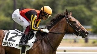 【サウジアラビアRC出走馬・騎手確定】コマンドライン＆ルメール騎手、ステルナティーア＆福永祐一騎手など7頭