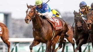 【京都大賞典出走馬・騎手確定】アリストテレス＆デムーロ騎手、ヒートオンビート＆戸崎圭太騎手など14頭