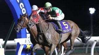 日本馬が続々参戦表明！今年は米G1・ブリーダーズCにも注目/合田直弘