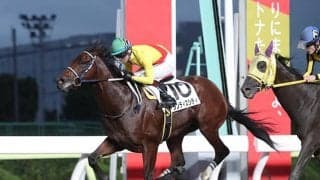 デビュー戦で後続に4.1秒もの大差勝ちしたランディスシティが2連勝！