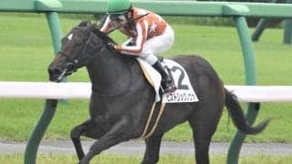 【門別・エーデルワイス賞出走予定馬】スピーディキック、エイシンヌプリら