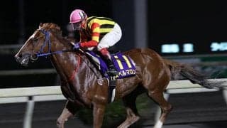 「牧場を廃業すると生産馬が走る」ジンクスを体現するスペルマロンが高知初の獲得賞金1億円に王手