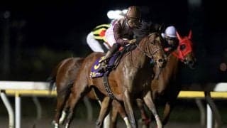 【レディスプレリュード・馬体重】ウェルドーンは510kg(+4)、テオレーマは486kg(-2)