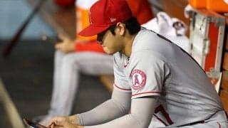 【MLB】花巻東→日本ハムの8年間、大谷翔平がつけた“日誌”の存在　目標達成への必携ツール