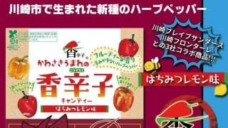 川崎ブレイブサンダース、川崎フロンターレと地元老舗飴屋のコラボで川崎の魅力を発信する香辛子キャンディーが大好評