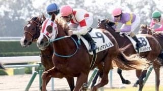 今年の京都大賞典は「阪神／芝2400ｍ」のコース実績と血統で３頭をピックアップ