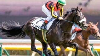 【サウジアラビアRC枠順確定】コマンドラインは6枠6番、ステルナティーアは3枠3番