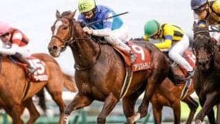 【京都大賞典枠順確定】アリストテレスは6枠9番、ヒートオンビートは8枠14番