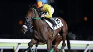【大井・とき特別結果】本田正重騎手騎乗の2番人気ミゲルが快勝