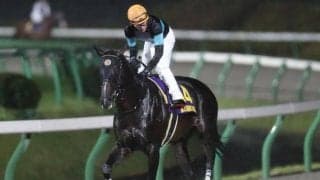 【盛岡・マイルCS南部杯枠順確定】アルクトスは大外8枠16番、サンライズノヴァは2枠3番