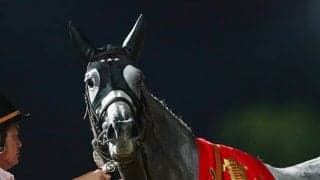 【地方競馬】大井・レディスプレリュードの売得金は7億3958万2900円で対前年比115%超