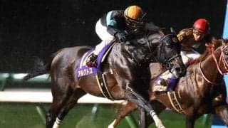 【マイルCS南部杯】昨年覇者のアルクトスが最終リハ 　栗田師「条件はいいし、楽しみです」