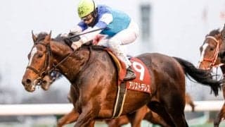 【京都大賞典予想】今年は阪神開催！ 関連の強い宝塚記念組は!?/JRAレース展望