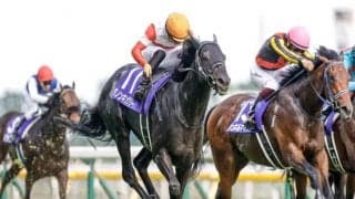 【毎日王冠予想】1人気が強い！ 3-4歳馬に注目！/JRAレース展望