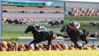 クラージュゲリエが競走馬登録抹消