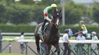 【JRA】急死のクラージュゲリエが7日付で登録抹消、2018年京都2歳S覇者