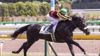 【本日の注目ポイント】東京・阪神・新潟開催がスタート！2歳重賞・サウジアラビアRC