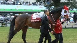 本命不在の京都大賞典。「高配当の使者」がまたも100万馬券を演出か