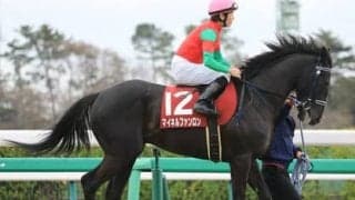 そろそろ荒れそうな毎日王冠。不気味なのは過去10年で波乱を演出したタイプに似た３頭