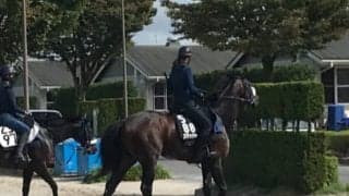 【グリーンチャンネルC】スマッシャー吉岡師「成長を感じます」/ねぇさんのトレセン密着