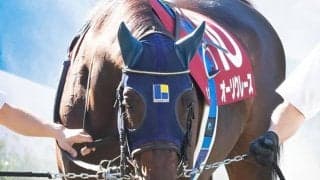 【菊花賞想定】ルメール騎手はオーソクレース、武豊騎手はディープモンスターに騎乗予定