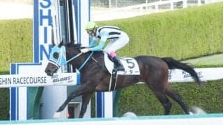 【阪神4R新馬戦結果】ホッコータルマエ産駒シダーが押し切って快勝