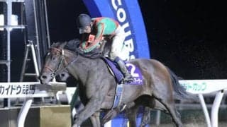 【門別・エーデルワイス賞枠順確定】スピーディキックは6枠10番、レディーアーサーは7枠11番