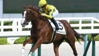 【阪神5R新馬戦結果】パールコードの初仔アートハウスがデビュー勝ち