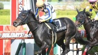 【りんどう賞結果】5番人気ダークペイジが押し切って無傷2連勝
