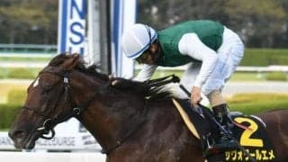 【オパールS結果】サヴォワールエメが昇級初戦を押し切る