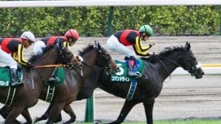 【サウジアラビアRC】コマンドラインが人気に応える