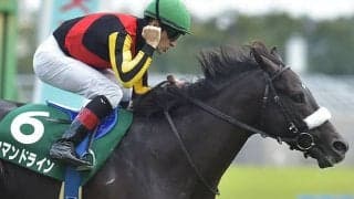 【サウジアラビアRC】3連複190円はJRA重賞最低配当タイ、7頭立て7着まで人気順決着