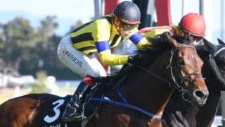 【京都大賞典前日オッズ】ヒートオンビートが3.7倍で1番人気