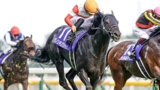 【WIN5予想】毎日王冠はコース適性や近走成績が重要