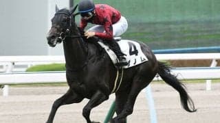 【JRA】新潟12Rで競走中止のゲノムは予後不良
