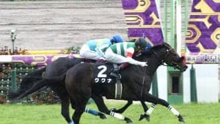 【山中湖特別】断然人気のククナが2勝目