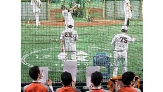 巨人坂本の“神対応”が未来を創出　障がい者野球チームと学童野球女子を招待