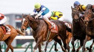 【京都大賞典予想】重賞で好走経験がある馬が圧倒的な別定重量のGII戦