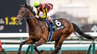 【毎日王冠】毎日王冠は1番人気軸ならば頭固定で？ バッサリ消す手もある複雑構造レースだ