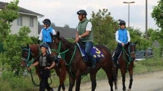 【京都大賞典】かつての僚馬・キセキとアイアンバローズの対決/ねぇさんのトレセン密着