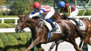 【阪神4R新馬戦結果】7番人気ピンハイが間を割って抜け出す