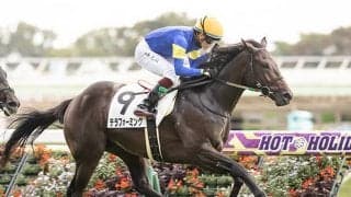 【東京5R新馬戦結果】テラフォーミングがV、鮫島克駿騎手の代打騎乗