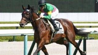 【阪神5R新馬戦結果】M.デムーロ騎手騎乗タガノエスコートが押し切りV