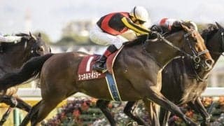 【毎日王冠結果】シュネルマイスターが鋭く追い込んで重賞2勝目！3年連続の3歳馬V